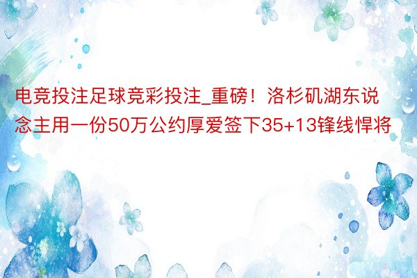 电竞投注足球竞彩投注_重磅！洛杉矶湖东说念主用一份50万公约厚爱签下35+13锋线悍将